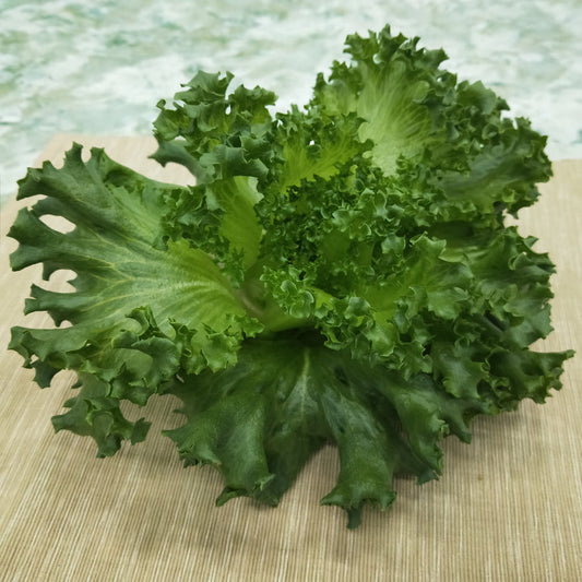 Crunchy Crystal lettuce (1pc)
