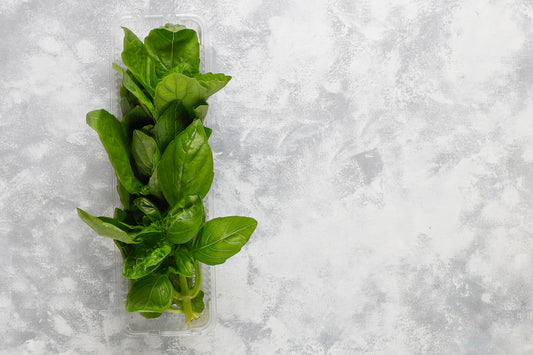 Italian organic basil (100g)