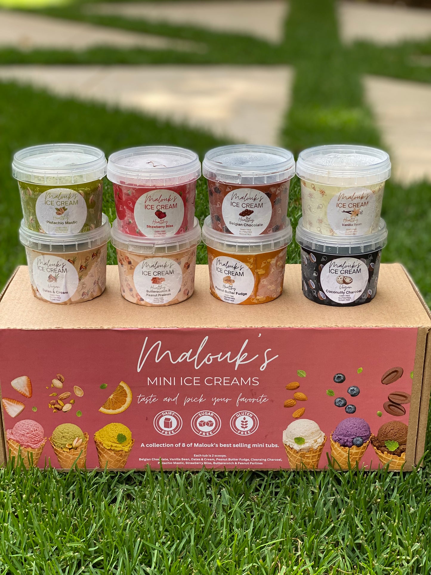 Mini 8 flavors ice cream(vegan friendly)