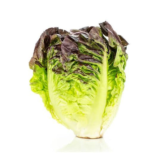 Crunchy Red little gem lettuce  (1pc)