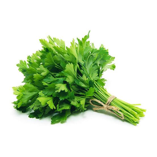 Organic Italian Coriander (100g)