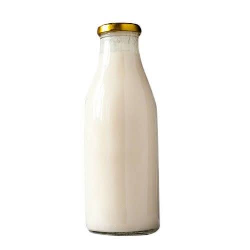Fresh Camel Milk (1L)