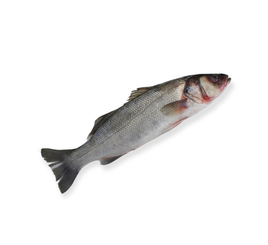 Wild Seabass (1kg)