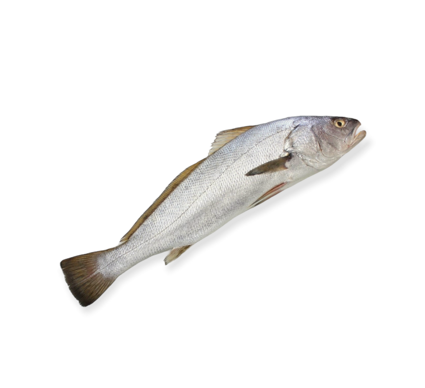 Wild mearge (lout) (1kg)