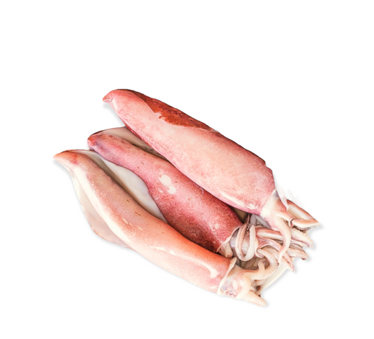 Wild Calamari (1kg)