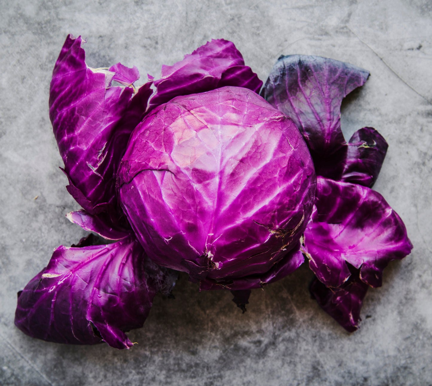 Organic Red cabbage (1pc)