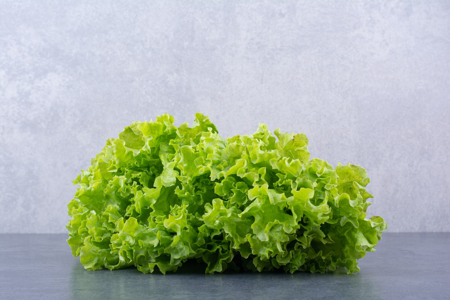 Crunchy Lolo bionda lettuce (1pc)