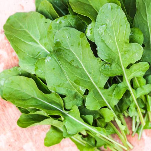 Italian Organic Rucola/Arugula (100g)