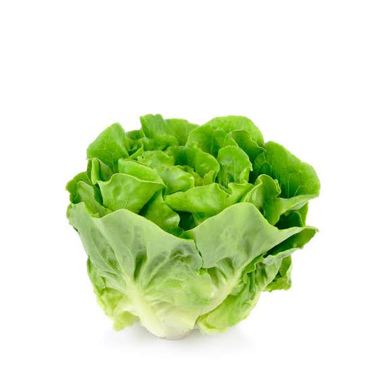 Crunchy Butter head lettuce  (1pc)