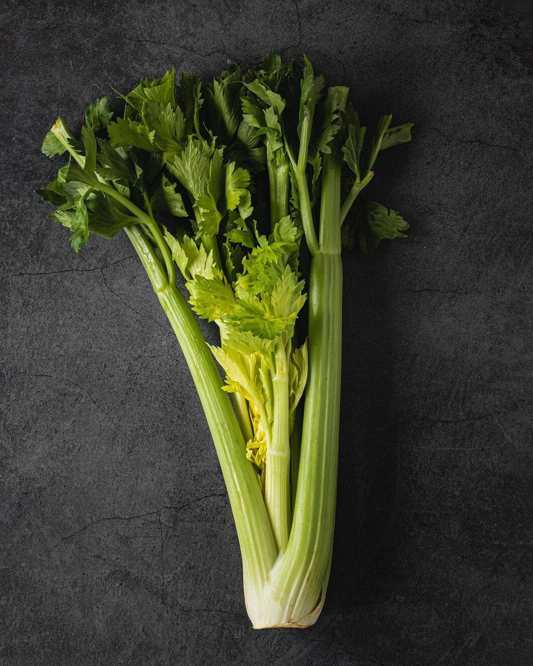 Organic French giant celery (500g)