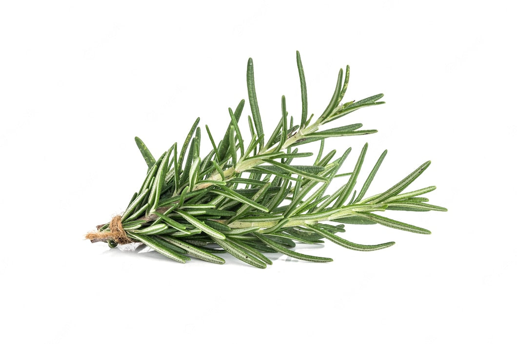 Organic Rosemary (100g)
