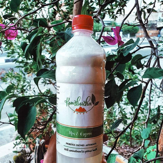 Coconut Kefir (1L)
