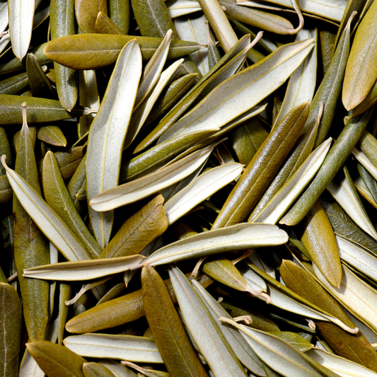 Solar dried Olive Leaves (25g)