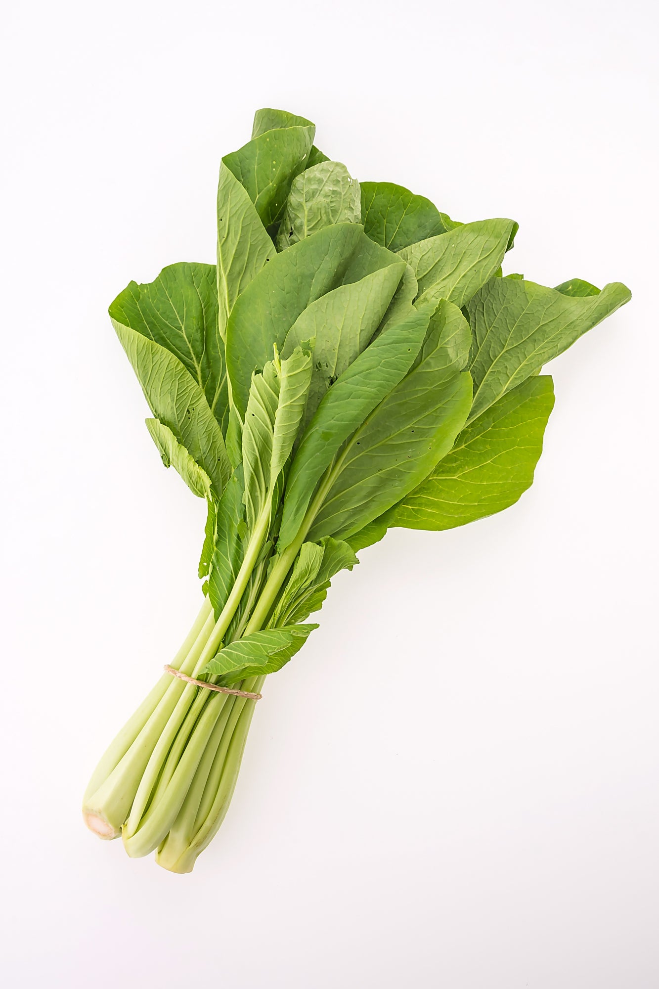 Organic Spinach(500g)