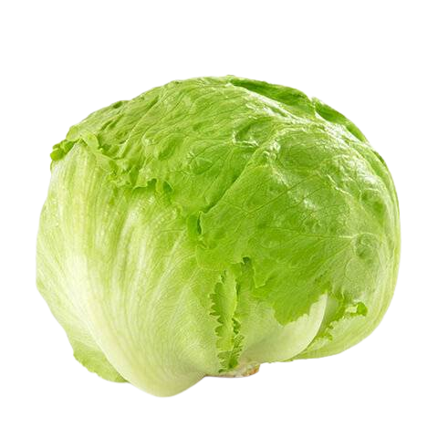 Iceberg lettuce (1pc)